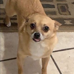 Meet your Posher, Jose